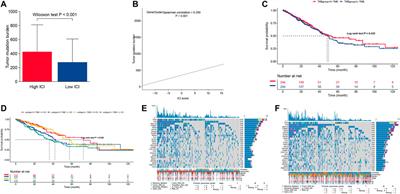 Characterization of the Different Subtypes of Immune Cell Infiltration to Aid Immunotherapy